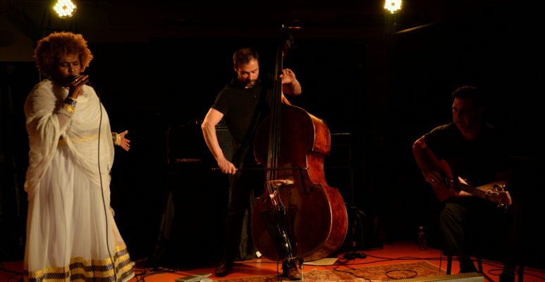 Etenesh Wassié / Mathieu Sourisseau / Sébastien Bacquias ::: TOURNÉE JUIN 2019
