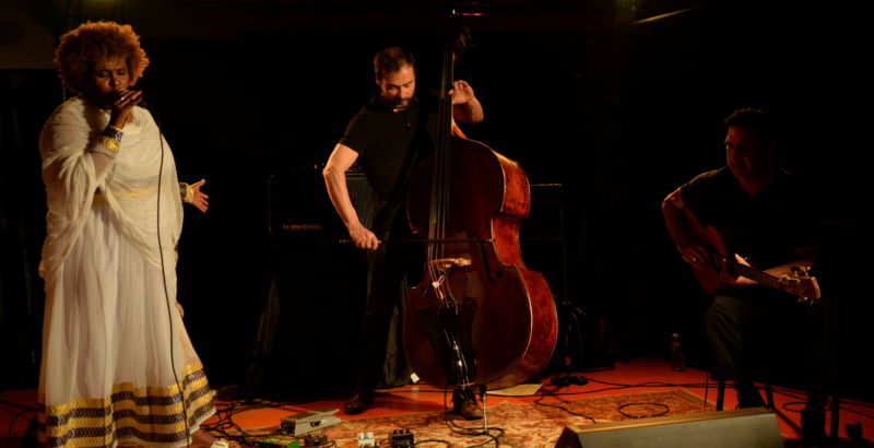 Etenesh Wassié / Mathieu Sourisseau / Sébastien Bacquias ::: TOURNÉE FÉVRIER 2019