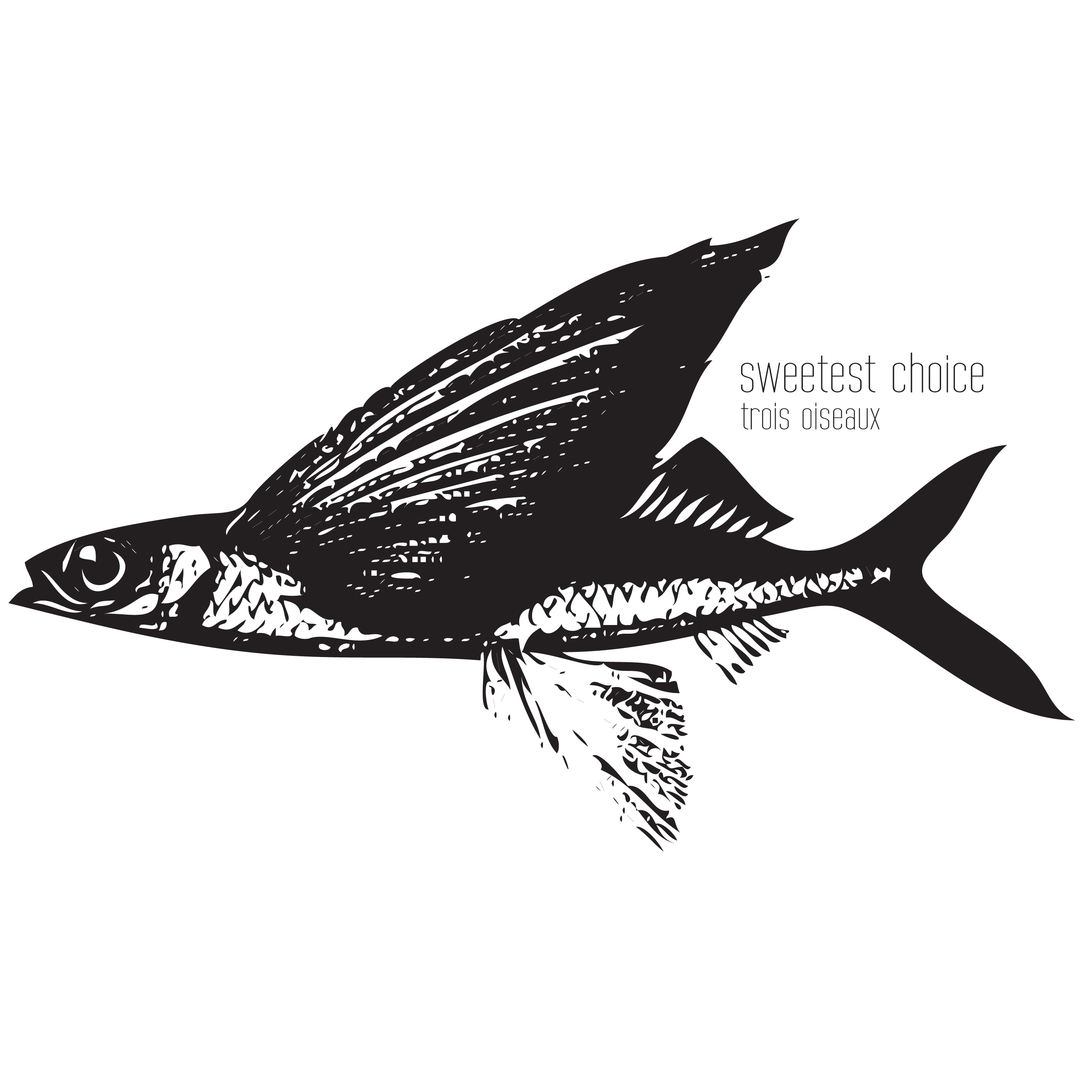 visuel-album-Trois Oiseaux
